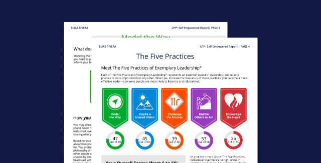 Sample LPI Self Empowered report